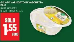 Pam Gelato variegato in vaschetta PAM offerta