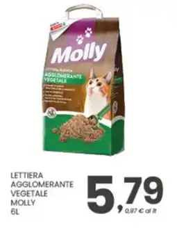 Despar Lettera nechica agglomerante vegetale MOLLY offerta