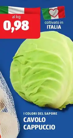 ALDI I colori del sapore cavolo cappuccio offerta