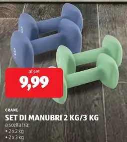 ALDI Crane set di manubri offerta