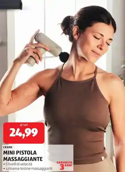 ALDI Crane mini pistola massaggiante offerta