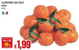 A&O Clementine con foglie offerta