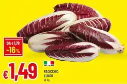 A&O Radicchio lungo offerta