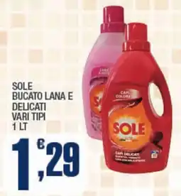 Splendidi e Splendenti Sole bucato lana e delicati offerta