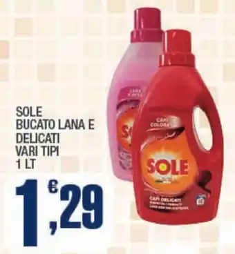 Splendidi e Splendenti Sole bucato lana e delicati offerta