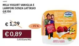 Prezzemolo e Vitale Mila yogurt vaniglia e lamponi senza lattasio offerta