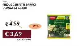 Prezzemolo e Vitale Findus ciuffetti spinaci primavera offerta