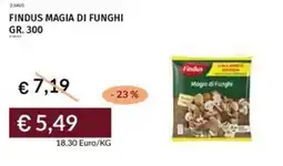 Prezzemolo e Vitale Findus magia di funghi offerta