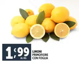 Deco Supermercati Limoni primofiore con foglia offerta