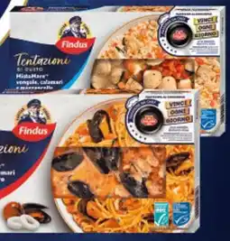 Deco Supermercati Findus tentazioni di gusto mistomare offerta