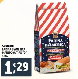 Deco Supermercati Spadoni farina d'america manitoba tipo "0" offerta