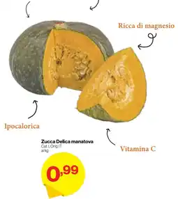 In'S Mercato Zucca Delica manatova offerta