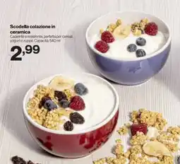 In'S Mercato Scodella colazione in ceramica offerta