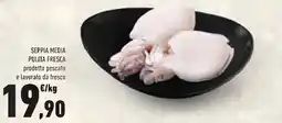 Conad Seppia media pulita fresca prodotto pescato e lavorato da fresco offerta