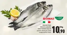 Conad Branzino italia fresco da 400/600 g conad percorso qualità prodotto allevato per conad in italia nel mar tirreno offerta