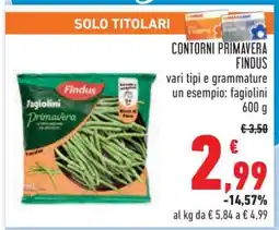 Conad CONTORNI PRIMAVERA FINDUS offerta