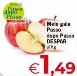 Despar Mele gala Passo dopo Passo DESPAR al Kg offerta