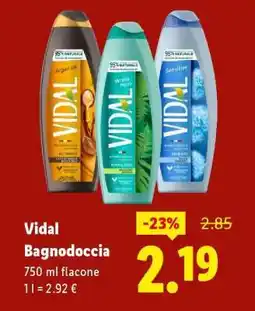 Lidl VIDAL Bagnodoccia offerta