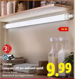 Lidl LIVARNO offerta