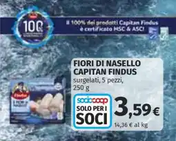 Coop FIORI DI NASELLO CAPITAN FINDUS offerta