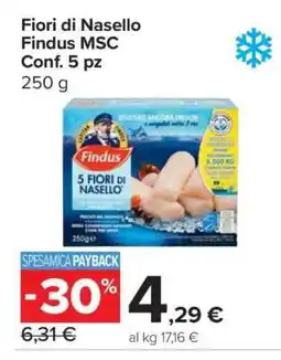 Carrefour Fiori di Nasello Findus MSC Conf. 5 pz offerta