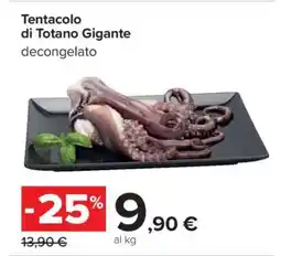 Carrefour Tentacolo di Totano Gigante offerta