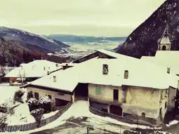 MD Discount B&B BUTTERFLY offerta