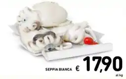 Spazio Conad Seppia bianca offerta