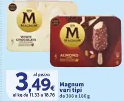 Sigma Magnum offerta