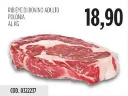 Carico Cash & Carry Rib eye di bovino adulto polonia offerta