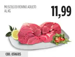 Carico Cash & Carry Muscolo di bovino adulto offerta