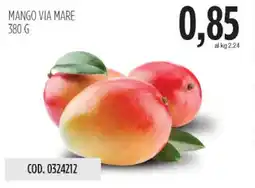 Carico Cash & Carry Mango via mare offerta