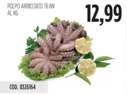 Carico Cash & Carry POLPO ARRICCIATO T6 IW offerta