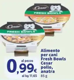 Sigma Alimento per cani Fresh Bowls Cesar pollo, anatra offerta