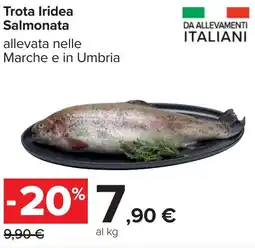 Carrefour Trota Iridea Salmonata offerta