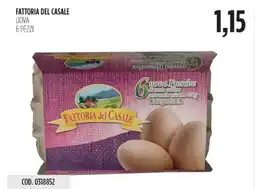 Carico Cash & Carry Fattoria del casale uova offerta