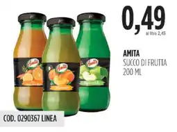 Carico Cash & Carry Amita succo di frutta offerta