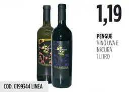 Carico Cash & Carry Pengue vino uva e natura offerta