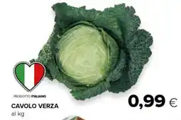Tigre Cavolo verza offerta
