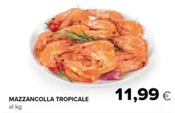 Tigre Mazzancolla tropicale offerta