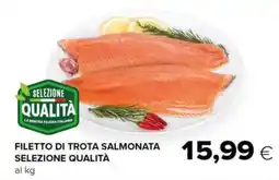 Tigre Filetto di trota salmonata selezione qualità offerta