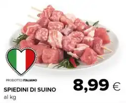 Tigre Spiedini di suino offerta