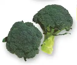 Esselunga Broccoletti offerta