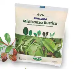 Esselunga Misticanza rustica ESSELUNGA offerta