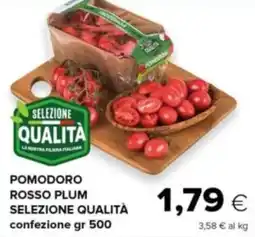 Oasi Pomodoro rosso plum selezione qualità offerta