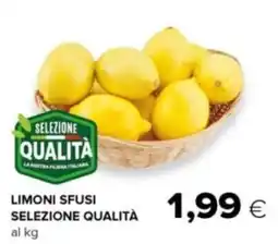 Oasi Limoni sfusi selezione qualità offerta