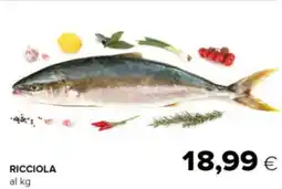 Oasi Ricciola offerta