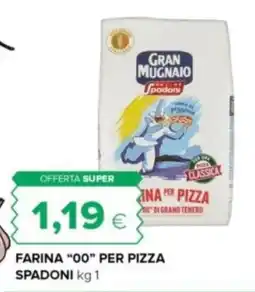 Oasi Farina “00” per pizza SPADONI offerta