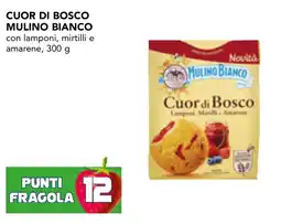 Esselunga Cuor di bosco mulino bianco con lamponi, mirtilli e amarene offerta
