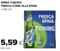 Oasi Birra tuborg fresca come alla spina offerta